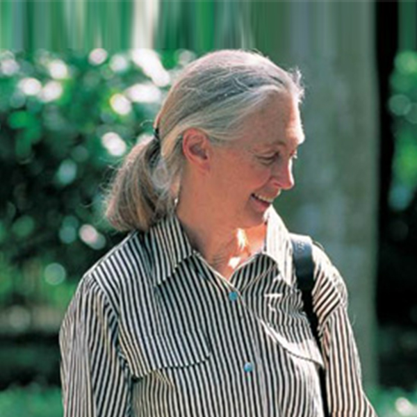 Dr. Jane Goodall 